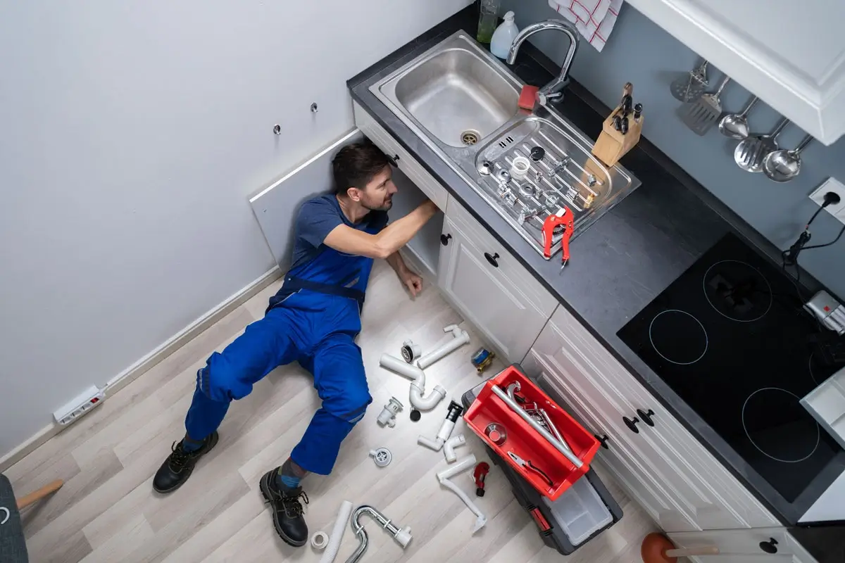 Professional Plumber Professional Plumber